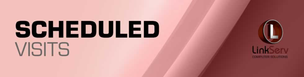 LinkServ Scheduled Visits